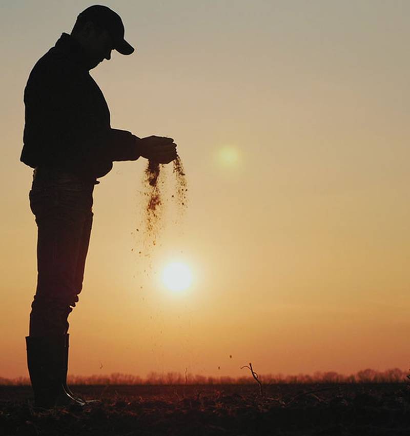 Meet Our Farmers: Pomì takes care of those who take care of tomatoes